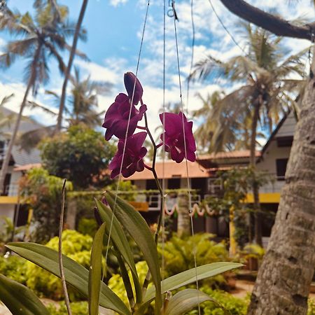 Pv Cottages - Serenity Beach Pondicherry Exteriör bild