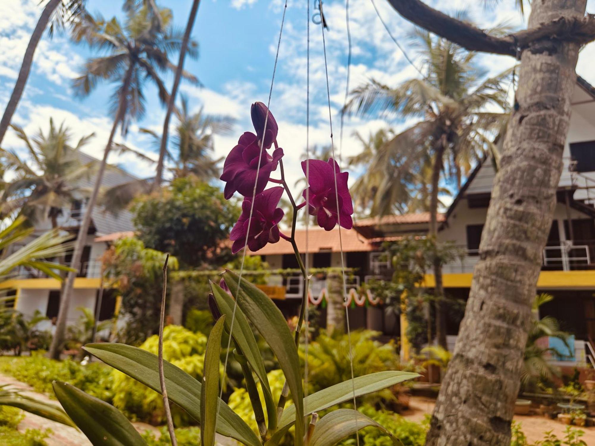 Pv Cottages - Serenity Beach Pondicherry Exteriör bild